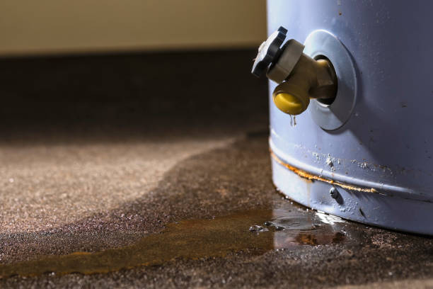 Best Local water damage restoration  in Forest Hill, TX