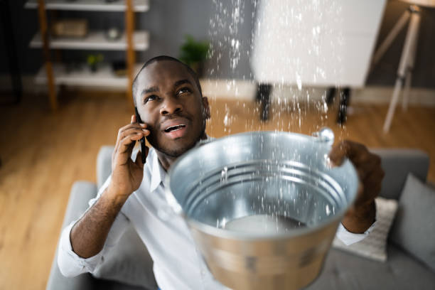 Best Flood damage cleanup  in Forest Hill, TX