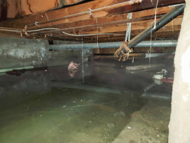 Best 24-hour water damage restoration  in Forest Hill, TX