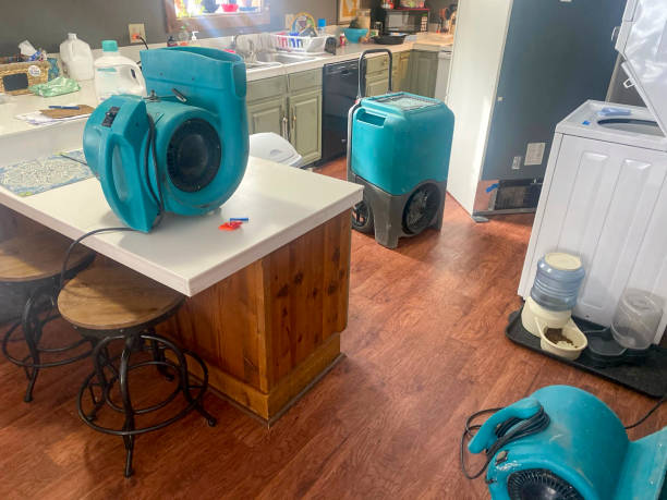 Best Water damage restoration services  in Forest Hill, TX