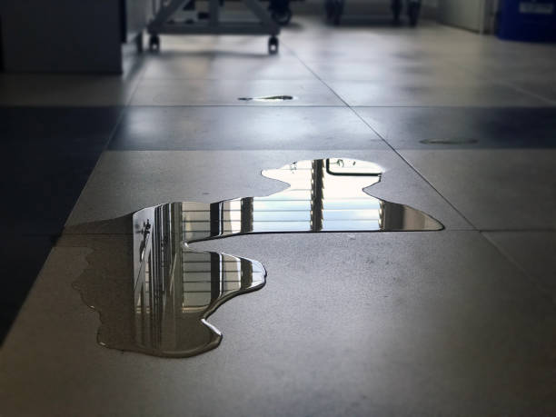 Best 24/7 water damage repair  in Forest Hill, TX