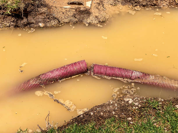 Best Emergency water damage restoration  in Forest Hill, TX